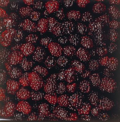 Wf TK Brombeeren 2500g
