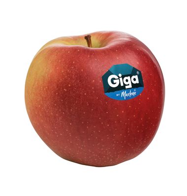 I Äpfel Giga 75/85