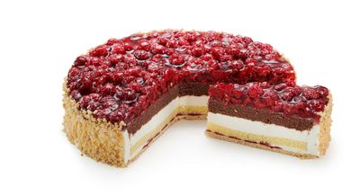 Pg TK HimbeerKäsesahnetort 2.5