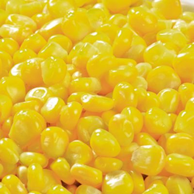 Dem TK Bio Zuckermais 2.5kg