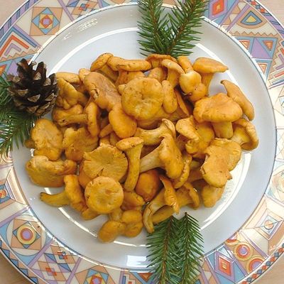 Stahl TK Pfifferlinge 1000g