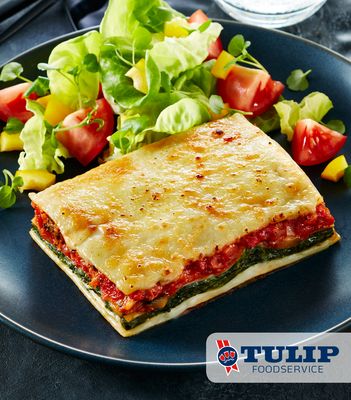Ty TK Lasagne Verdi 30x 310g