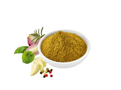 Rp Gyros fein 0.6kg
